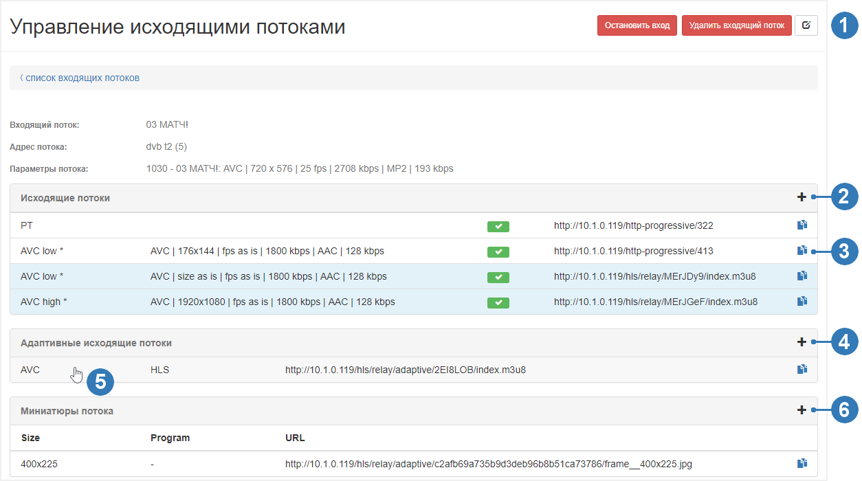 Processing_setup_Manage_output.png