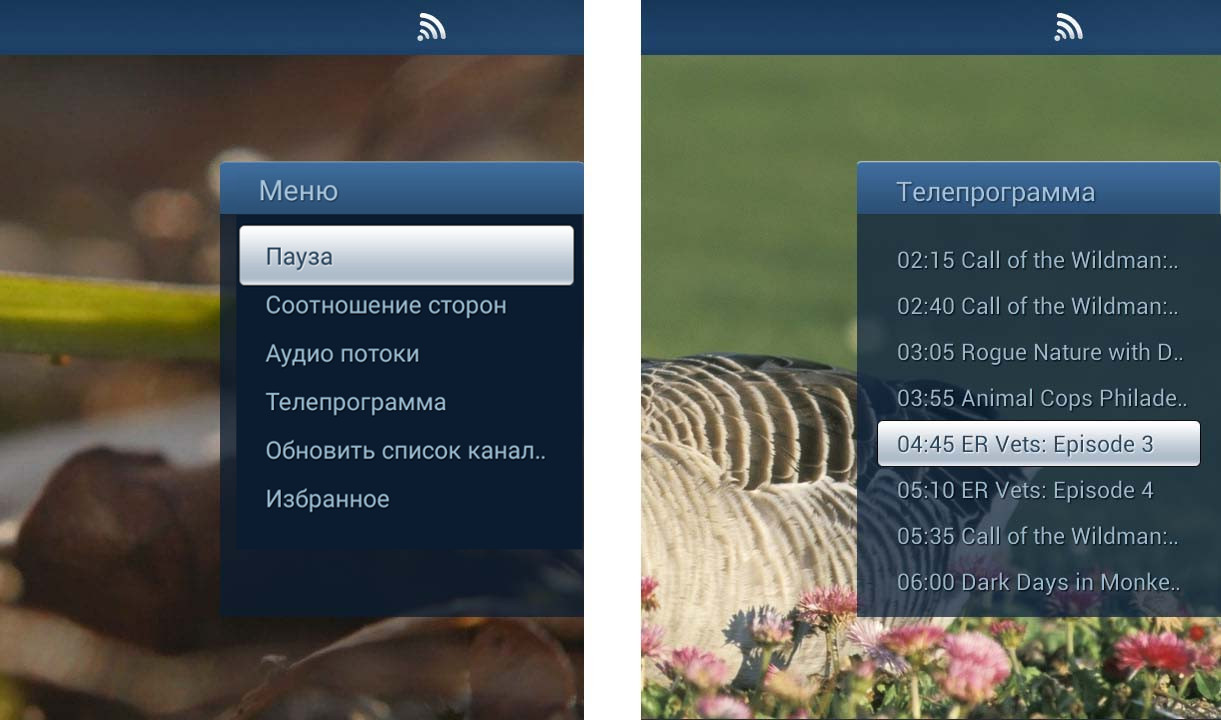 TV_playback_menu.png