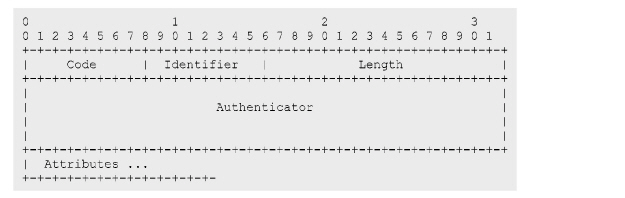 RADIUS_packet.jpg